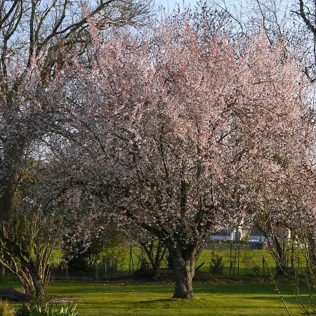 D'hotes - Les Bujours 3* Saint-Georges-des-Côteaux