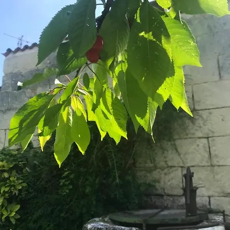 Chambres D'Hotes - Les Bujours Bed & Breakfast