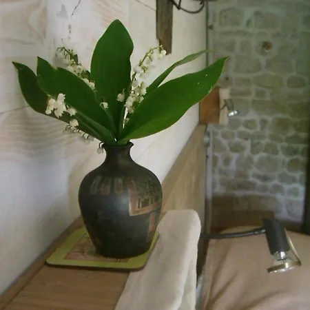 B&B D'hotes - Les Bujours Saint-Georges-des-Côteaux