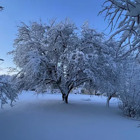 D'hotes - Les Bujours B&B 3*