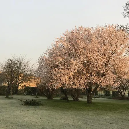B&B D'hotes - Les Bujours
