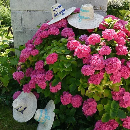 D'hotes - Les Bujours 3* Saint-Georges-des-Côteaux