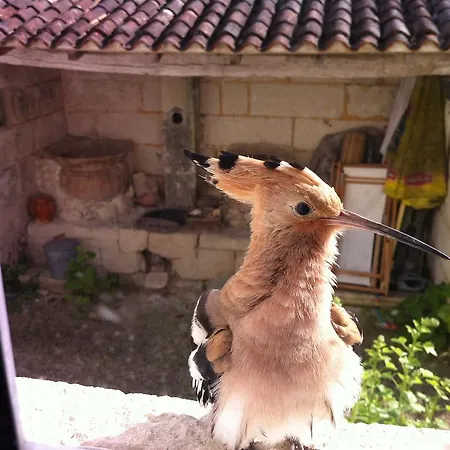 D'hotes - Les Bujours B&B 3*