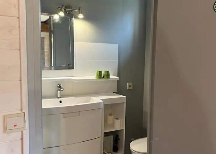 勒布尤斯住宿加早餐旅馆 3*