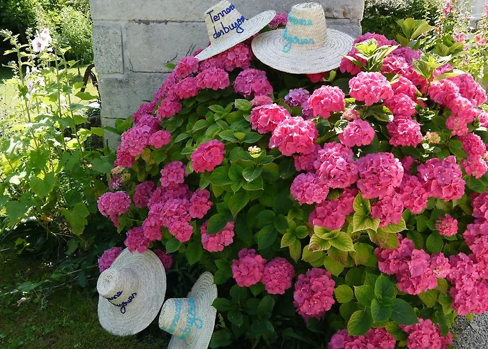 勒布尤斯住宿加早餐旅馆 3* Saint-Georges-des-Côteaux